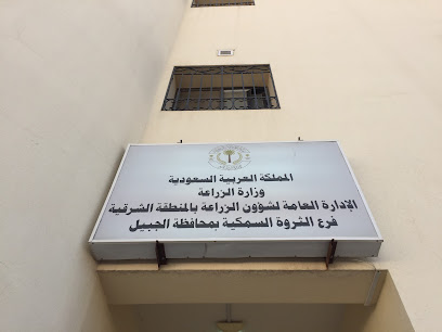 Dent commercial port to catch fish - Al Jubail - +966 13 362 3796