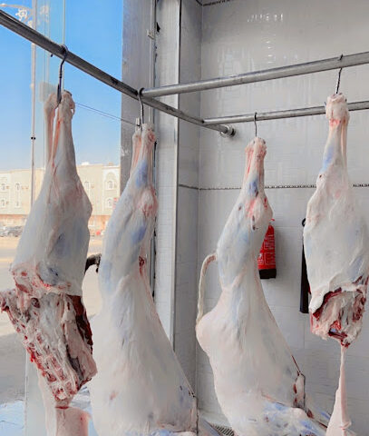 ملحمة شموخ الاصالة - Tabuk - +966 50 363 6444