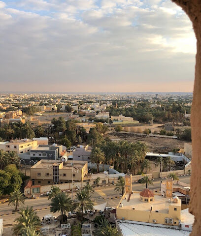 نجم الركايب لتأجير السيارات - Hail -