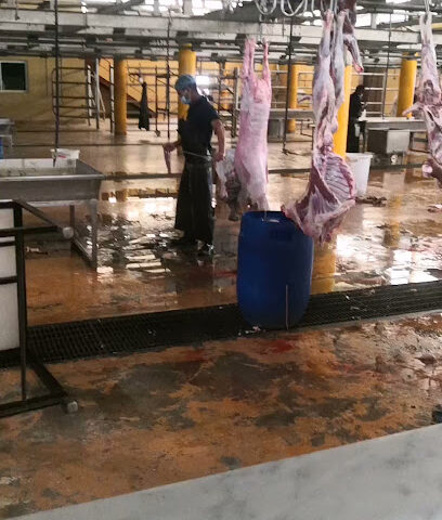 Slaughterhouse Taif - Taif -