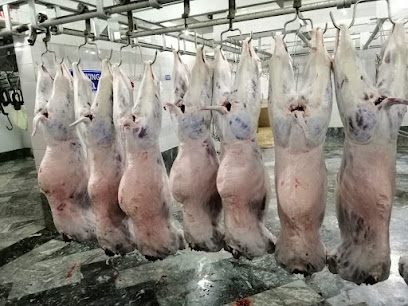 شركةلحوم الخير - Tabuk - +966 50 543 7000