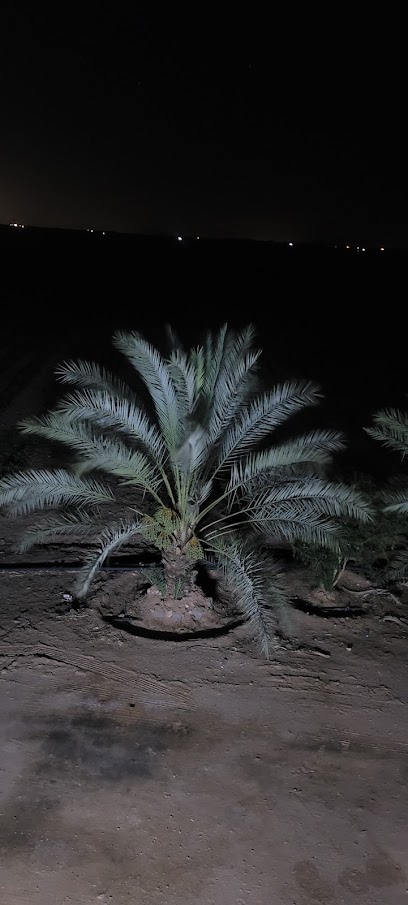 Sakaka - Saudi Arabia|Sakaka 72442|X6JF+98H