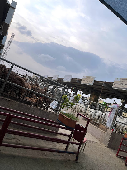 The Harri Farm - حري المزرعة - Saudi Arabia|شارع أبو عمرو الأوزاعي، حي، Jeddah 23241
