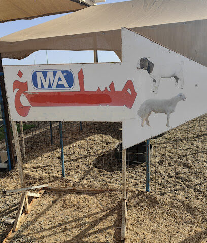 مسلخ ينبع الصناعية - Yanbu -