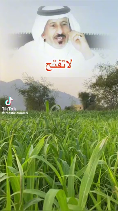 ٤شقق تمليك الشقة السفلى٤٢٠٠٠٠ العلوية٤٥٠٠٠٠ العمارة بالكامل١٤٥٠٠٠٠ - Al Jumum 25351