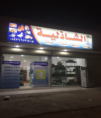 مغسلة بن حصيبان للسيارات - Al Duwadimi -