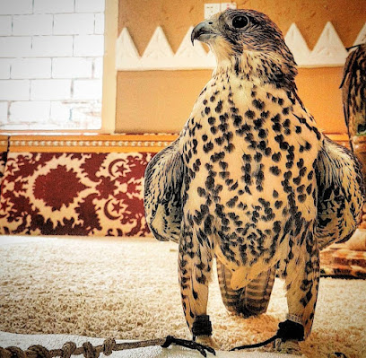 استراحة الحسانا - Hail - +966 54 104 8899