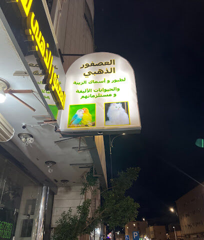 العصفور الذهبى - Hail -