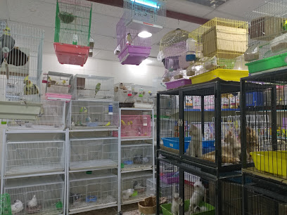 Love Birds - Buqayq - +966 55 839 9022