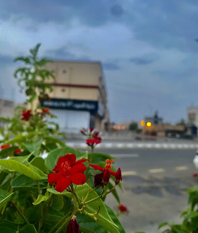 ملحمة النخبة ببدر - Badr - +966 50 433 5380