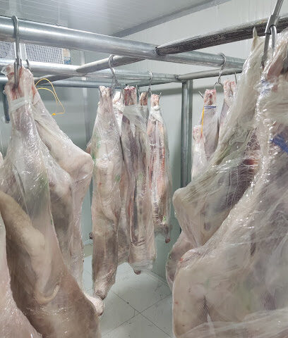 ملحمة أجود المصادر Ajwad Almsader Butchery - Al Jubail - +966 53 463 6944