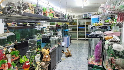 حول الفرات للطيور وأسماك الزينة - Al Mubarraz - +966 13 531 3686