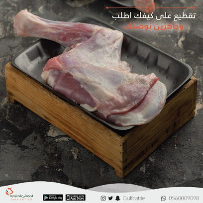 المواشي الخليجية - Dammam - +966 56 000 9098