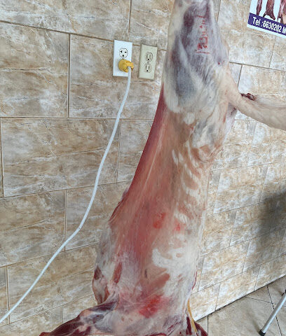 جزارة التعاون - Safwa - +966 50 386 2581