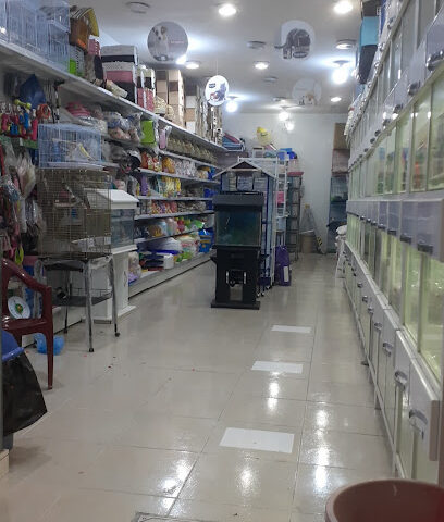 سلفستر لبيع طيور والاسماك والحيوانات الاليفة ومستلزماتها - Khamis Mushait - +966 53 025 3295