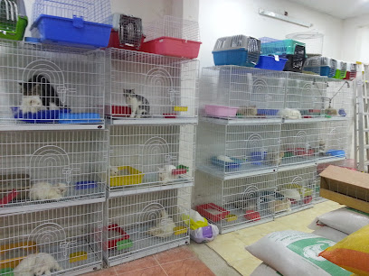 Birds world - Ar Rass - +966 55 190 6050