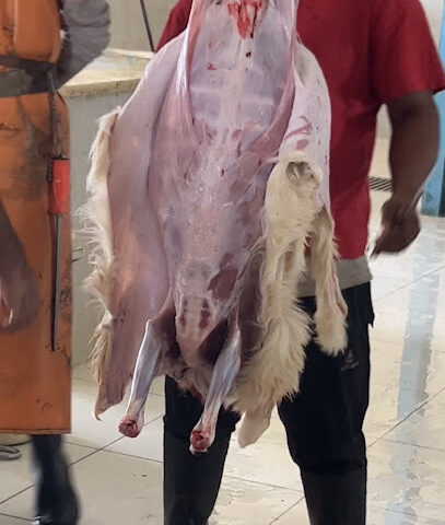 مسلخ محافظة عفيف - Afif -