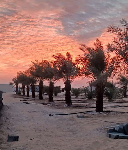…. - Salasil - +966 56 800 0444