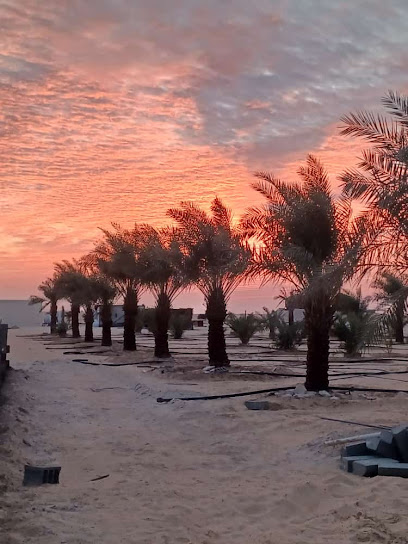 …. - Saudi Arabia|Salasil 33340|هجرة|بن هادي