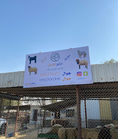 تطبيق ذبايح الجبيل ( حظيرة الصمان ) - Al Jubail - +966 55 177 6471
