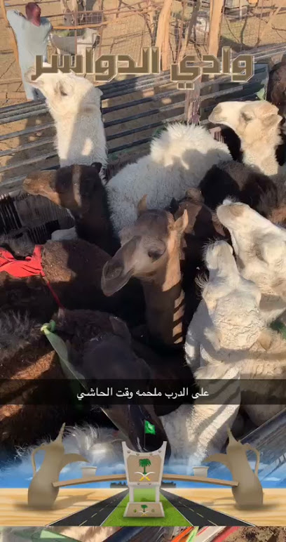 ملحمة وقت الحاشي - Saudi Arabia|Ad Darb 89742|10|P7VW+JM9