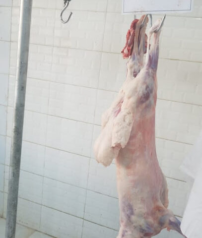 ملحمة حاشي الجنوب - Ahad Al Masarihah - +966 50 588 6575