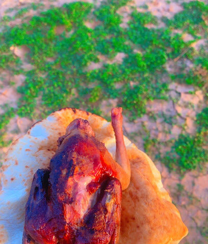 الجريد للطيور - Tubarjal - +966 55 711 7178