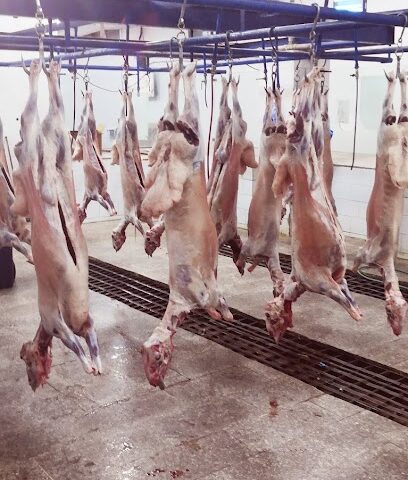 Slaughterhouse Abaasaud - Najran -