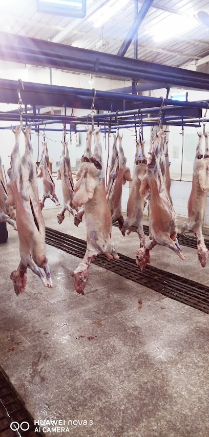 Slaughterhouse Abaasaud - Saudi Arabia|Najran 66281|Aba Lasaud|7982
