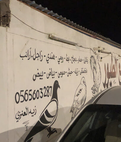 بيت الزغلول للطيور - Hafar Al Batin - +966 56 560 3287