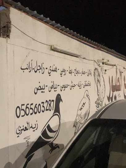 بيت الزغلول للطيور - Saudi Arabia|6607 الصمان، الربيع، حفر الباطن 39919 3249،