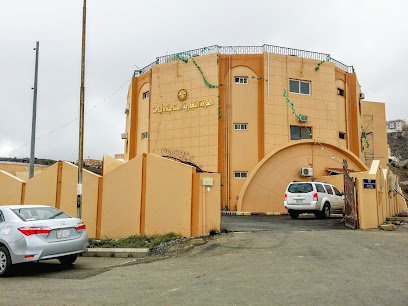Chamber of Commerce and Industry in Al-Baha - Al Bahah - +966 17 725 0476