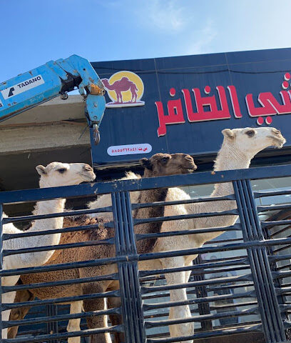 ملحمة الظافر - Abha - +966 53 536 0606
