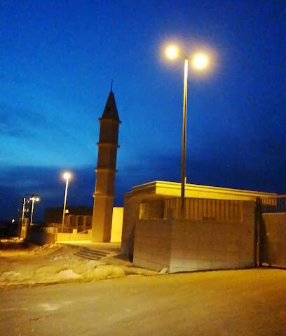 مصنع السلطان للتمور - Buraydah - +965 6661 0372