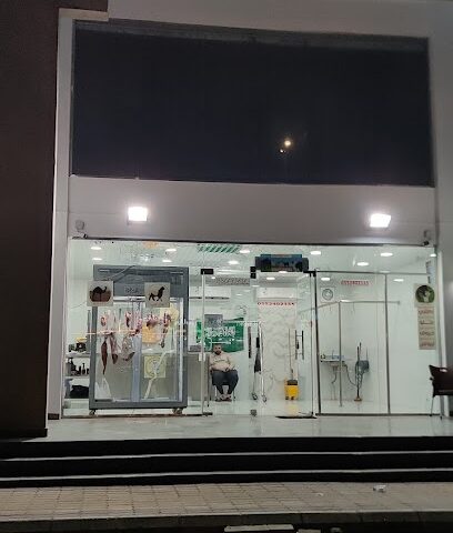 مؤسسة خيرات المنار للحوم الطازحة - Dammam - +966 55 240 2335