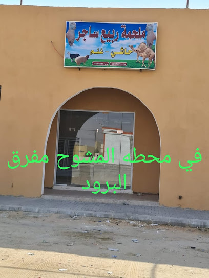 ملحمة ربيع ساجر - Saudi Arabia|Sajir 17648|4JWR+M6H