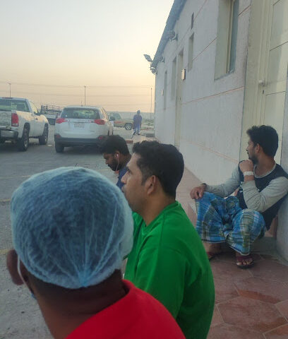 Central slaughterhouse Tarouty - Safwa -