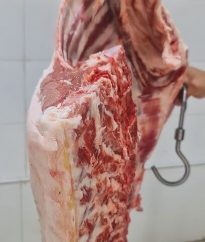 ملحمة المطار ابويوسف - Hail - +966 53 059 6984