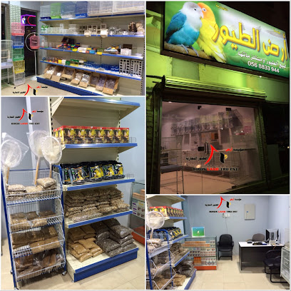 Birds Land Trading est - Anak - +966 56 883 3944