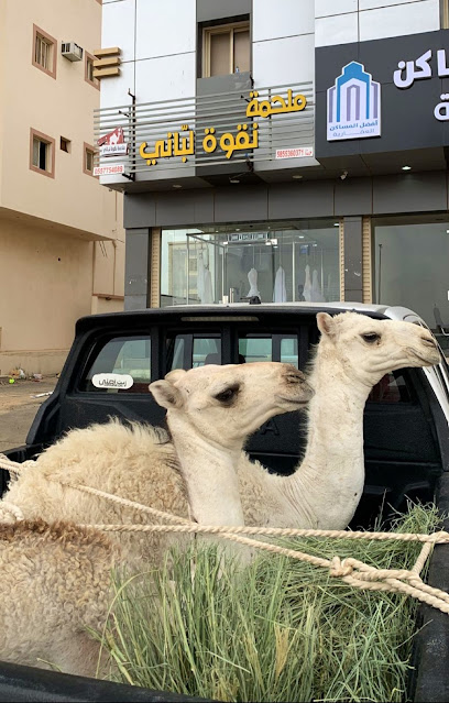 ملحمة نقوة لباني - Saudi Arabia|Khamis Mushait 62459|7761، خميس مشيط 62459 3669، 62459،