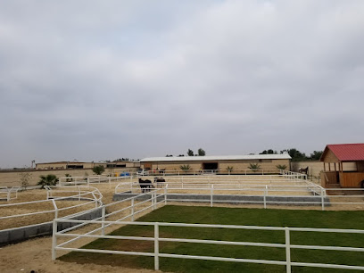 مربط العطا للخيل العربية - Safwa - +966 56 916 1106