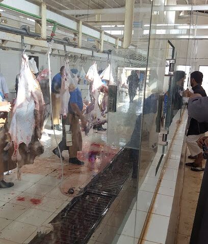 Slaughterhouse Rass - Ar Rass - +966 16 333 1415
