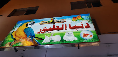 دنيا الطيور/ألفة الدلم - Ad Dilam - +966 53 396 8209