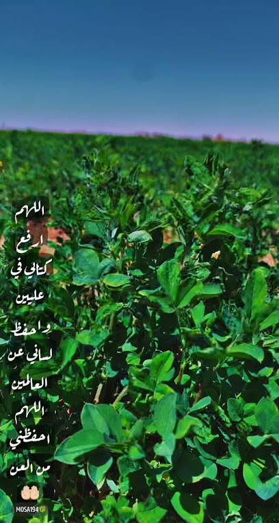أبرار - Saudi Arabia|Hail 55426|Alkhuraymi|GP6C+H88
