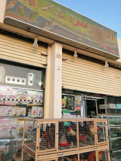 الكروان لبيع طيور وأسماك ومستلزماتها - Mecca 24352