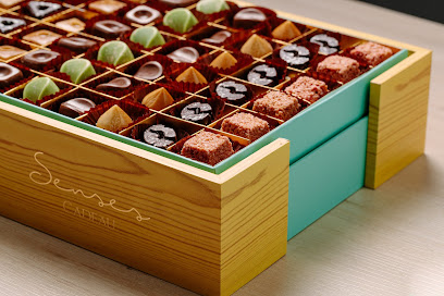 سنسز | Senses‎‎‎‎‎‎‎‎‎ - Khafji - +966 50 877 7397