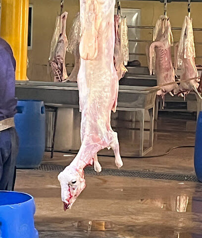 Slaughterhouse Model - Taif -