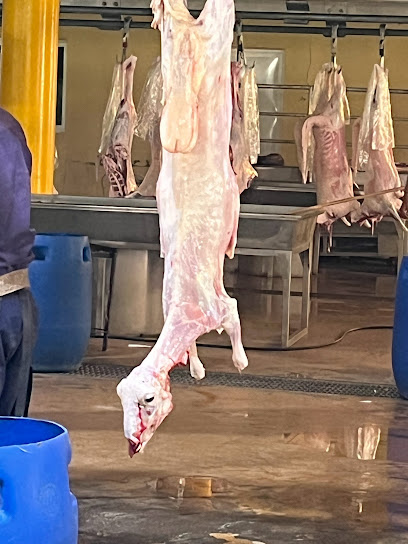 Slaughterhouse Model - Saudi Arabia|Taif 26519|C36|6FQV+W3R
