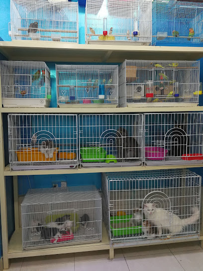 Wonderful fish and birds - Dammam 32271
