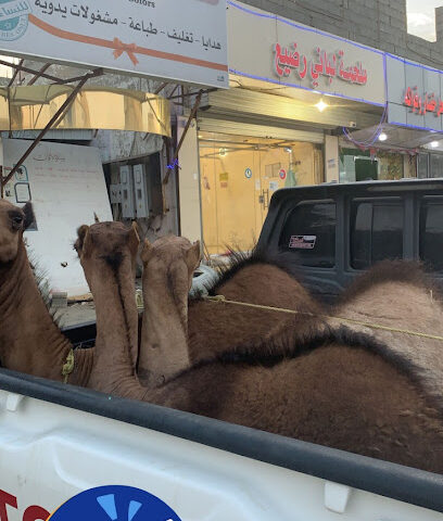 ملحمة لباني رضيع - Qarn Dhabi - +966 53 775 5856